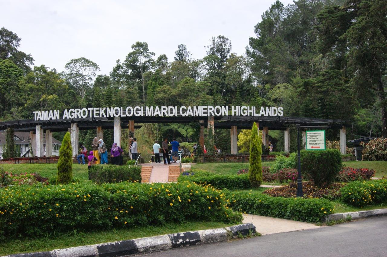 Muslim Boutique Apartment Cameron Highlands Exterior photo